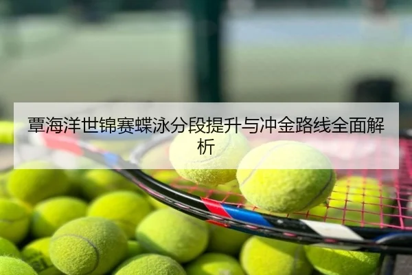 覃海洋世锦赛蝶泳分段提升与冲金路线全面解析