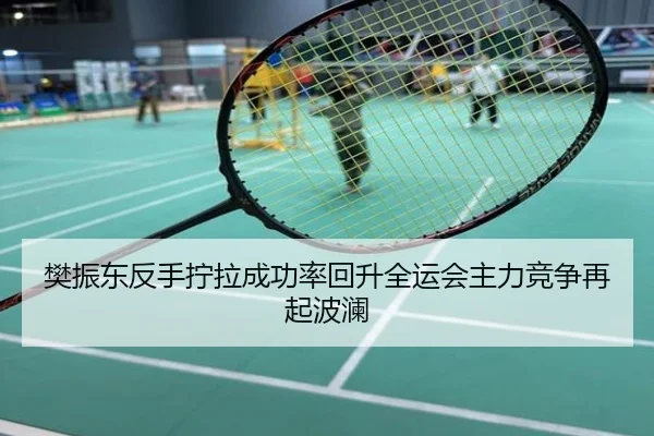 樊振东反手拧拉成功率回升全运会主力竞争再起波澜